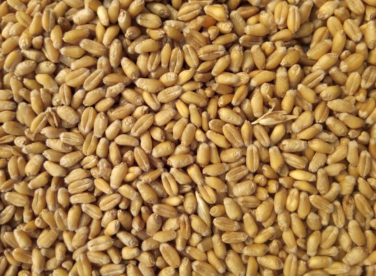 Quality-controlled fertilizer production and crop nutrition